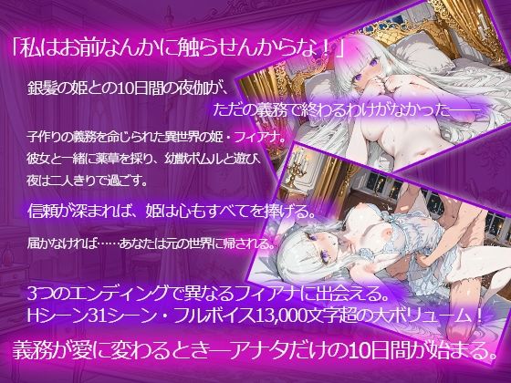 ツンデレ姫と夜伽の10日間 〜異世界で子作り命じられました〜 画像1