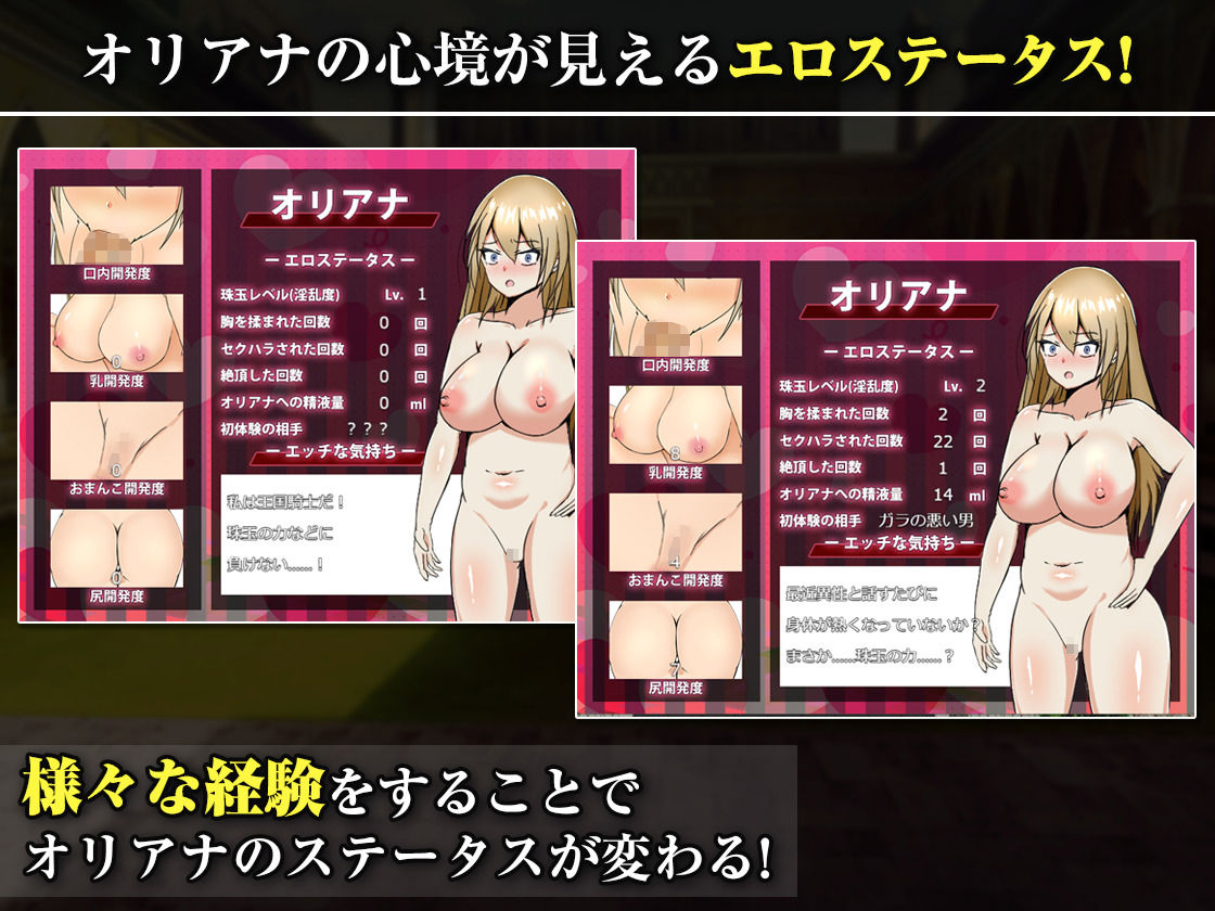 王国の勇騎士オリアナ_4