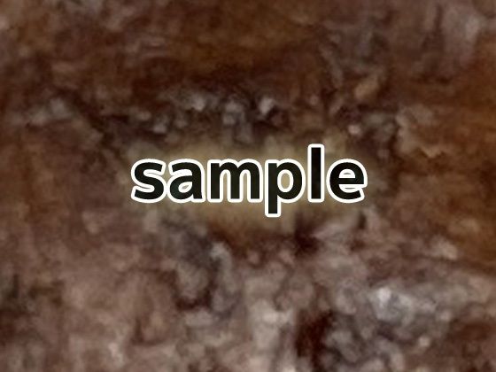 化石のテクスチャ/シームレス画像素材〜商用成人利用OKの著作権フリーのサンプル画像4