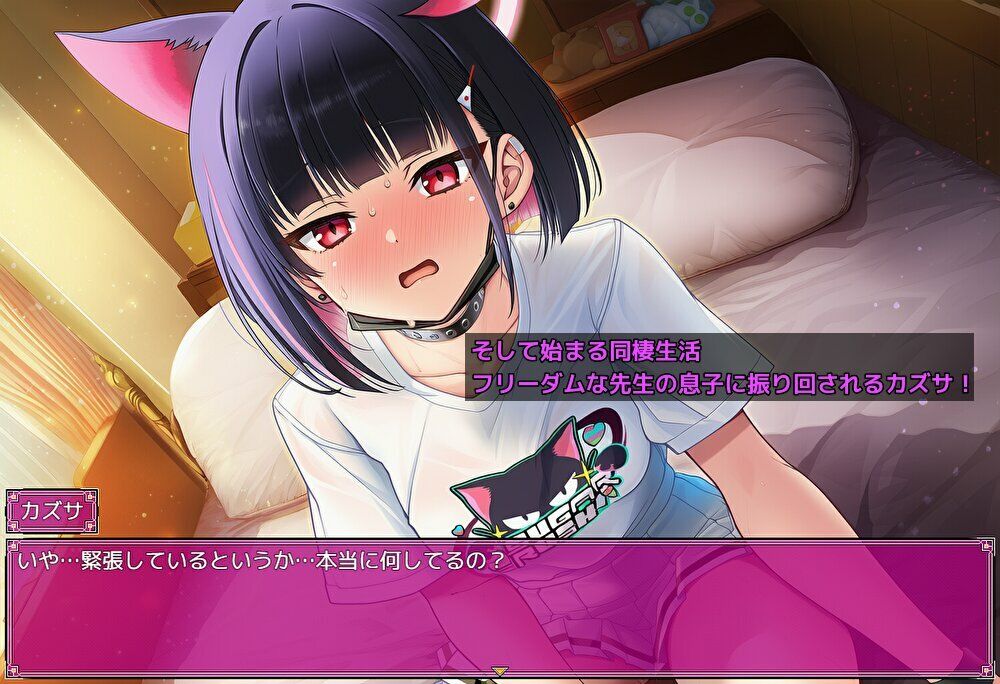 Lewd Archive 『Case カズサ』 サンプル画像 5