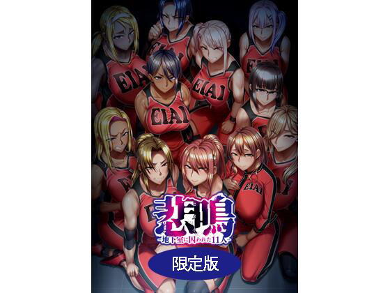 悲鳴-地下室に囚われた11人- 限定版
