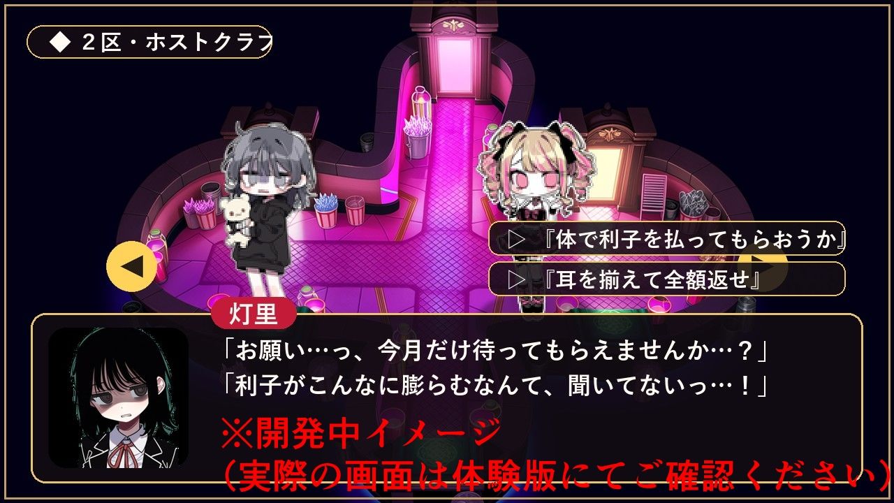 完済できない女たち― 闇金・裏色街・加害者経営RPG ― 画像10