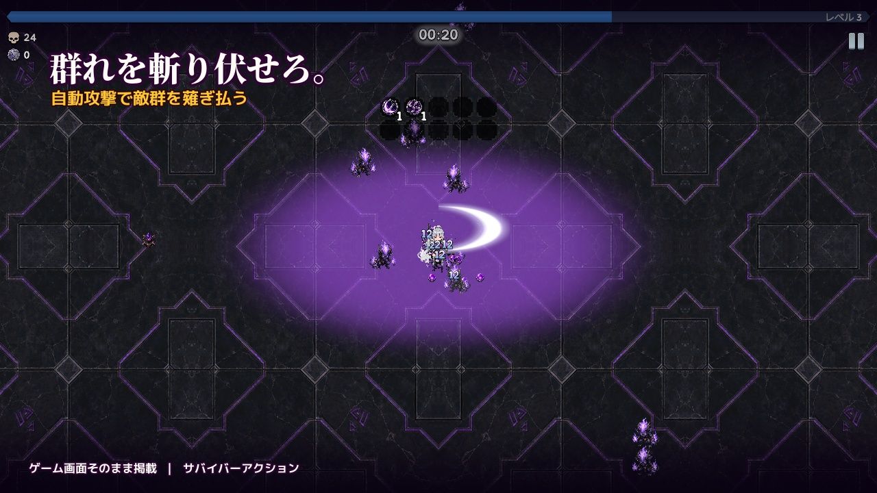 紫月の女騎士セレナ 画像2
