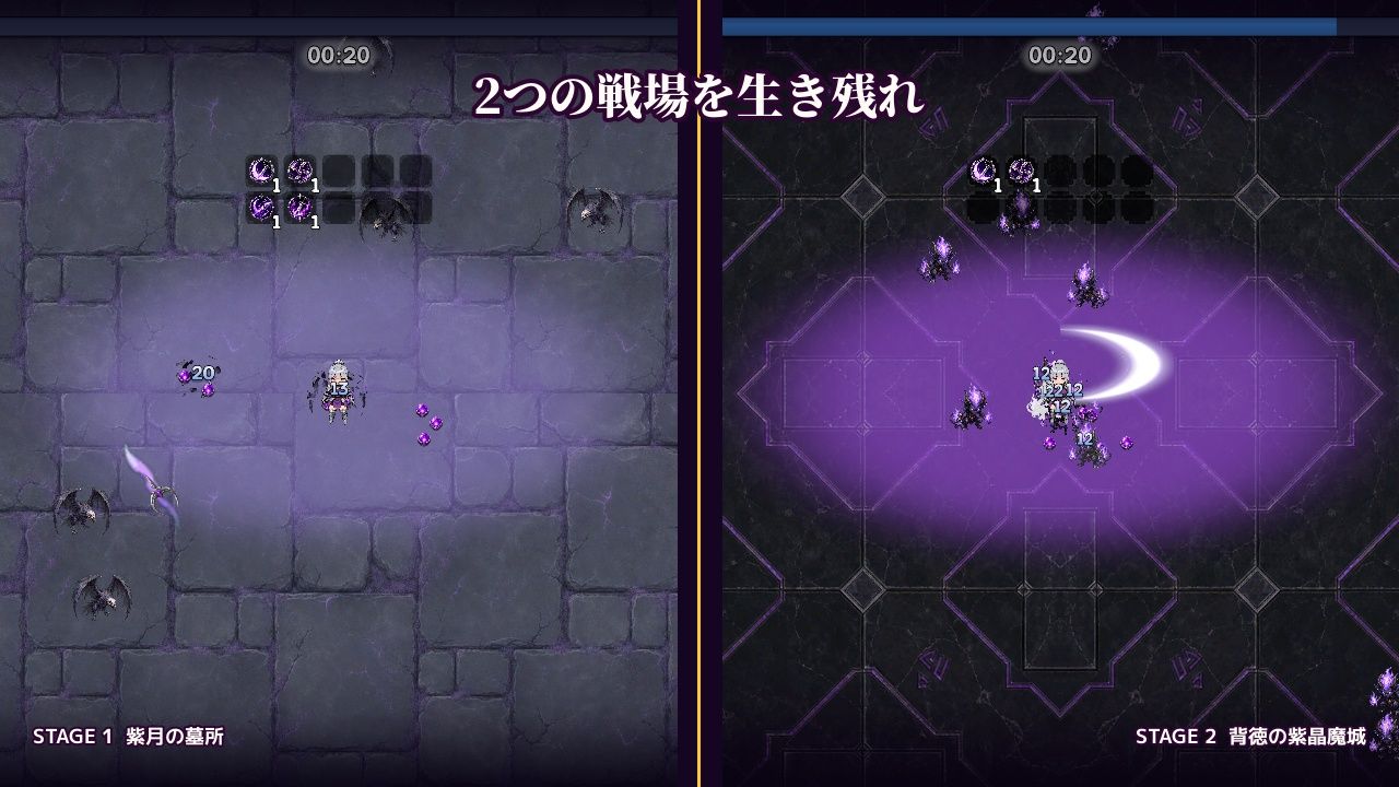 紫月の女騎士セレナ 画像3