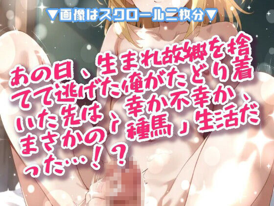 サンプル画像 1枚目