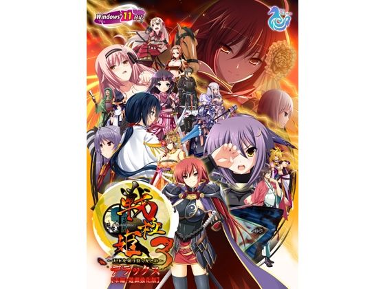 戦極姫3 〜天下を切り裂く光と影〜 デラックス Win11対応版【本編＋遊戯強化版】 の表紙