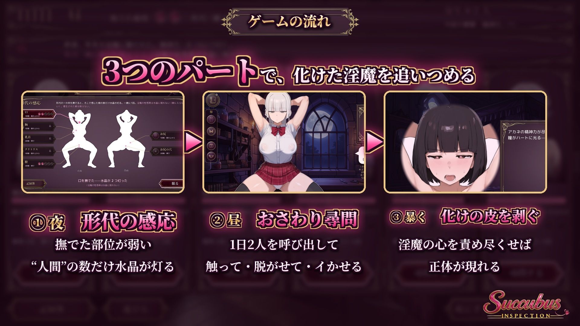 Succubus Inspectionのサンプル画像 1