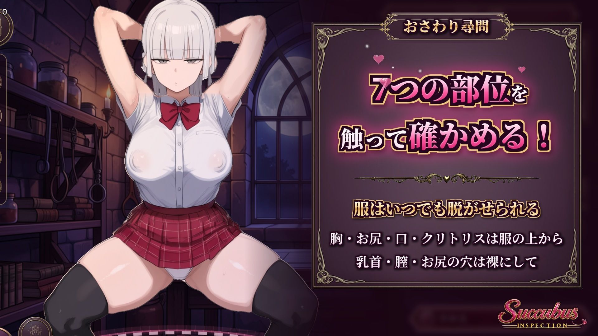 Succubus Inspectionのサンプル画像 2