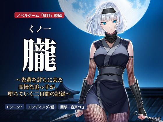 くノ一 朧 〜先輩を討ちに来た高慢な追っ手が、堕ちていく二日間の記録〜の表紙