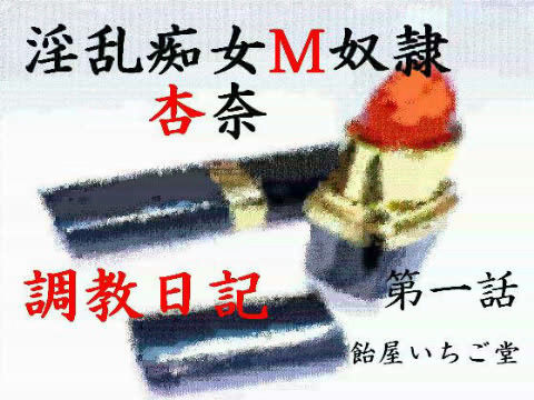 淫乱痴女M奴●杏奈・調教日記の表紙