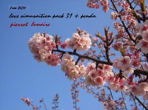 著作権フリーBGM集 vol.-9 「恋愛シミュレーションパック31曲＋効果音＋ME」(月に憑かれたピエロ)