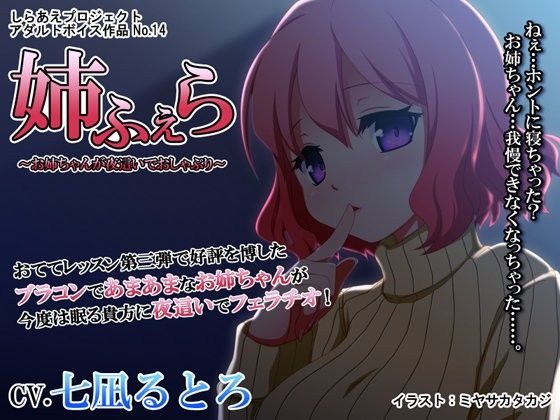 姉ふぇら 〜お姉ちゃんが夜●いでおしゃぶり〜