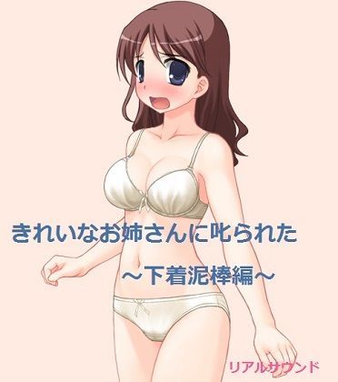 【リアルサウンド 同人】きれいなお姉さんに叱られた～下着泥棒～