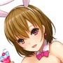 誘惑バニーと夜のレシピ