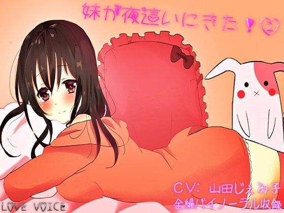 【LOVE  VOICE 同人】妹が夜這いに来た！2 LOVE VOICE