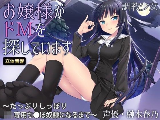 【調教少女 同人】お嬢様がドMを探しています～たっぷりしっぽりJK専用ち○ぽ奴隷になるまで～