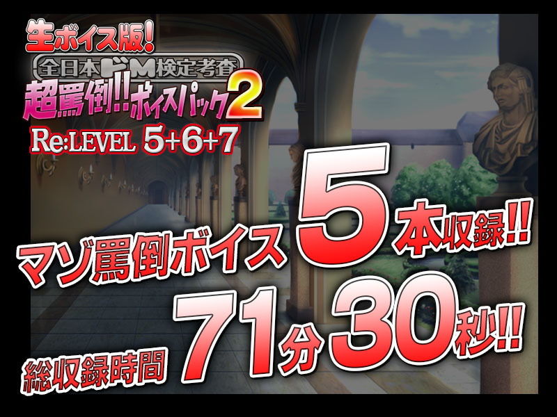 【生ボイス版！】全日本ドM検定考査 Re: LEVEL 5＋6＋7セット 超罵倒！！ボイスパック 2 画像2