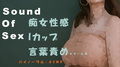 Sound Of Sex〜クールなIカップ美女がM男にバイノーラルマイクをつけさせて痴女性感！ 前立腺・聖水・フェラ音 高音質バイノーラル/ASMR