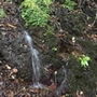 自然音 - 小菅 - 滝05 ［24bit/48kHz］