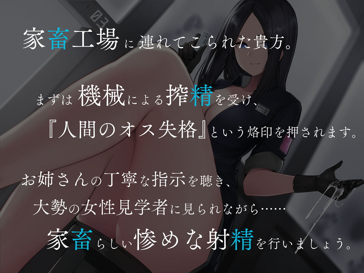 家畜射精3 お姉さんの丁寧語でイク工場見学会1