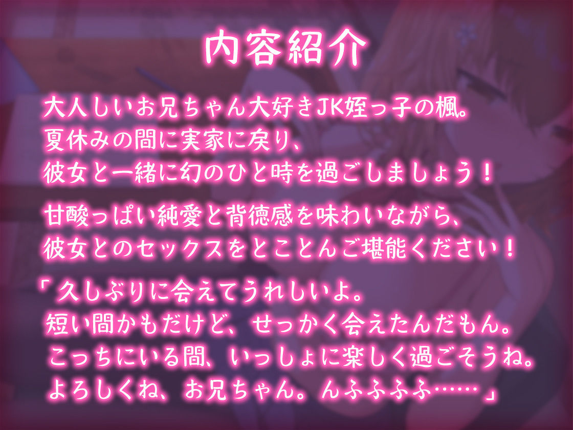 【青春純愛妄想系】姪っ子JKと過ごす甘々夏休み〜背徳の初体験と忘れ得ぬ日々〜(m3t) - FANZA同人