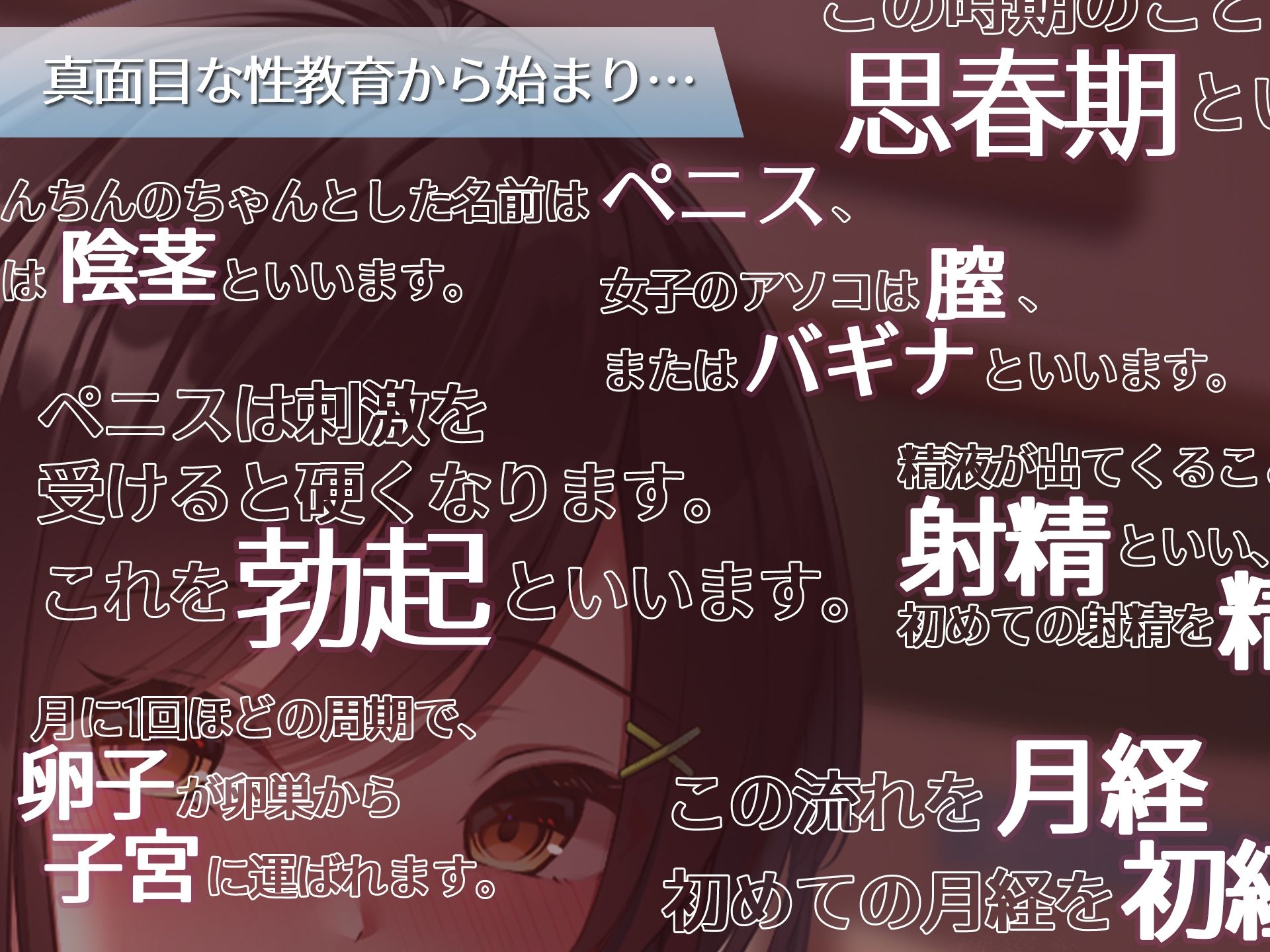 放課後ふたりきり性教育 ～就任2年目の先生によるいたって真面目な性教育授業…のはずでした～画像no.6