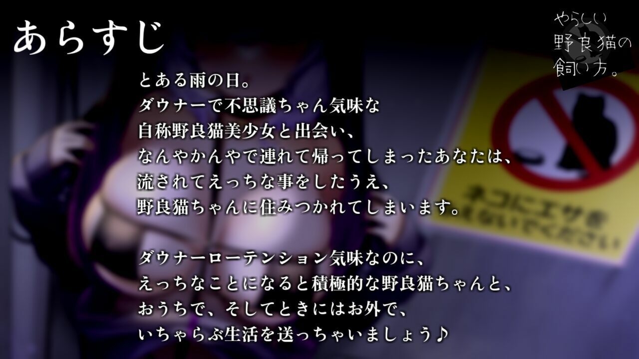 やらしい野良猫の飼い方。 〜ロリ巨乳不思議ちゃん女子といちゃらぶ生活、ヒミツのドスケベ野外えっち〜【KU100】 画像2