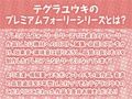 エルフナースの甘やかしいちゃらぶ搾精活動！【フォーリーサウンド】