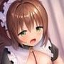 【特典付】土砂降りの中拾ったロリ系美少女は記憶喪失だった？不器用なドMメイドさんがあなただけに尽くしまくってくれるラブラブえっちなボイスドラマ♪