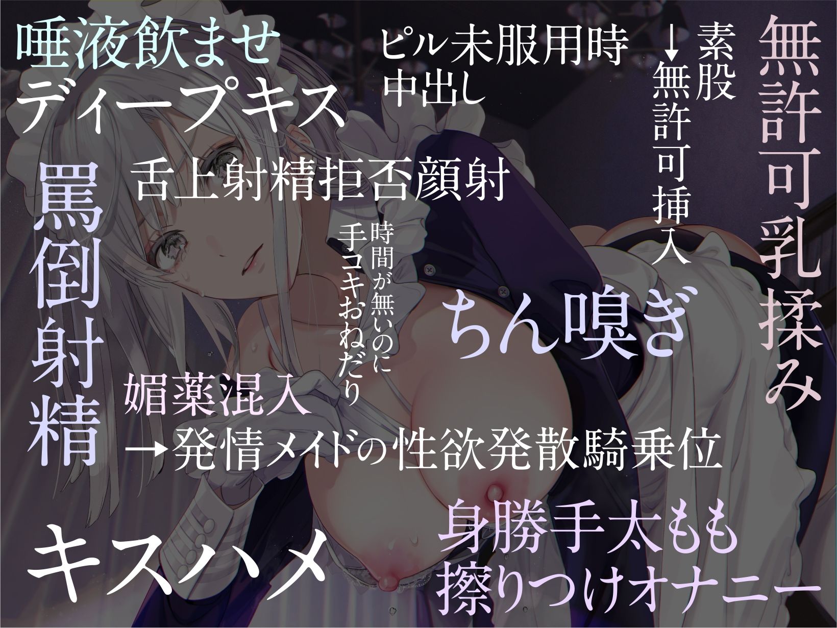 サンプル-甘えた考えを持つゆとりマゾな僕を教育してくれる性処理専用事務的メイドを、それとなく不機嫌にさせてしまう毎日。 - サンプル画像