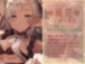 瑠璃雪楼の協奏曲 双子メイド瑞花 風花の抱擁【KU100ハイレゾ】