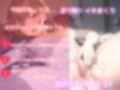 【ガチ実演】ガチイキ7連発！！ 期待の新生Vtuberがお兄ちゃんと妄想エッチ？お兄ちゃん...イグイグぅ〜と叫びながら、おまんこガン突きオナニーで連続絶頂♪