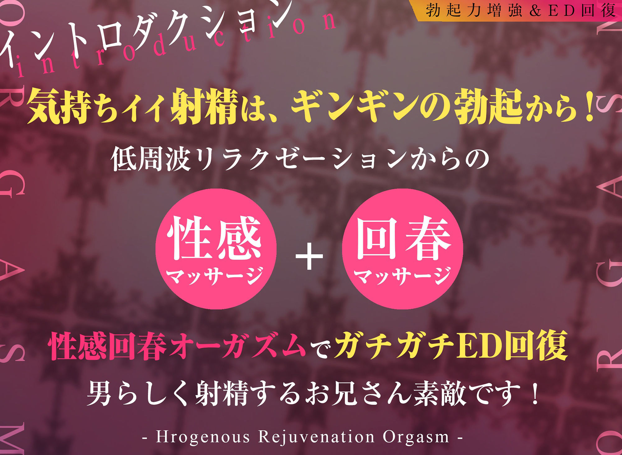 【勃起力増強＆ED回復】「実践！」性感回春オーガズム〜自然に溢れるような射精を体験！！〜【最近本気で気持ちイイ射精をしていない＆勃ちの悪いあなたに…】 画像1