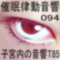 催●律動音響94_子宮内の音響T85