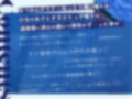 水泳部見学部を作ろう！