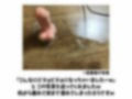【ゲロ声イラマチオ｜ハード実演】女子大生あみちゃんが初めての喉奥フェラに挑戦！「嗚咽しても止まらないギリギリのゲロ我慢音声で抜いてください」【ガチ録＃007】