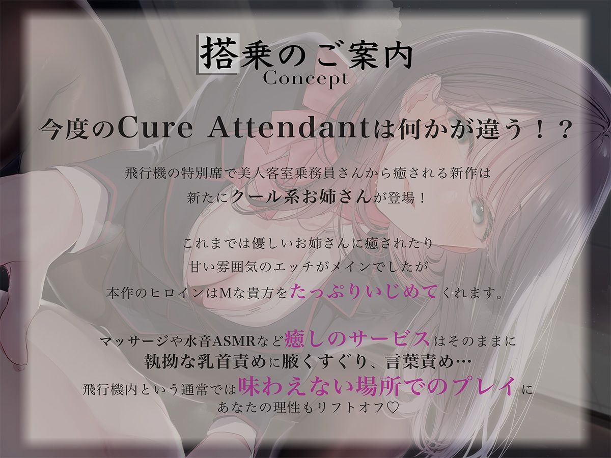 サンプル-Cure Attendant〜クール系美人CAさんにマゾバレしてエッチに責められる極上の空の旅〜 - サンプル画像