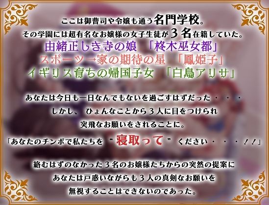 学園のご令嬢3人娘は婚約者と別れるために貴方の子どもを孕みたい【お願いNTR】 画像5