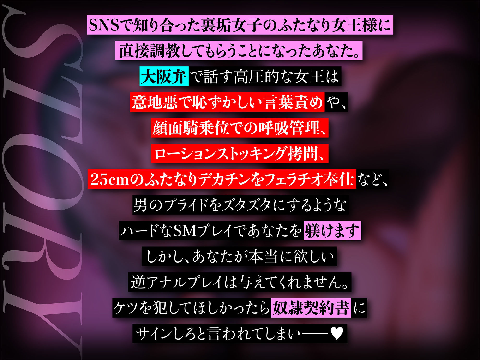 【ふた×男逆転無し】大阪弁ふたなり女王様に躾けられるみじめで恥ずかしいマゾ奴●調教 画像2