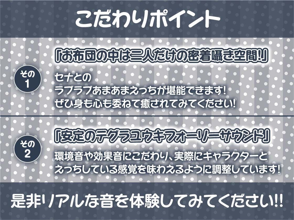 囁き超密着生メイド2〜オール無声囁き！布団を被ってこっそり生ハメ〜【フォーリーサウンド】 画像7