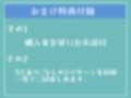 【新作価格】【豪華なおまけあり】 もしも実妹がふたなりだったら 彼女がいる兄への愛情を拗らせたブラコン妹が毎日僕のアナルを求めて、性処理を要求してくる逆寝取られ近親相姦性活