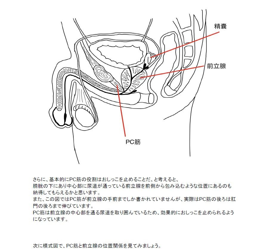 【医学生監修/図解解説PDF入】脳に快感を刻み込む甘々乳首＆前立腺開発 後戻りできない一ヶ月間甘マゾ メスイキトレーニング 画像4