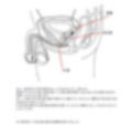 【医学生監修/図解解説PDF入】脳に快感を刻み込む甘々乳首＆前立腺開発 後戻りできない一ヶ月間甘マゾ メスイキトレーニング 画像4