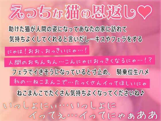 助けた猫が女の子になってぺろぺろご奉仕えっち_恩返しに気持ちよくするにゃん 画像2