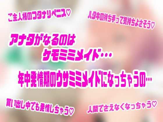 今日からアナタはケモメイド♪〜発情ウサみみ娘に変えられて、獣人お嬢様の性処理メイドへ堕ちていく〜【強●発情＆甘とろメス堕ち体験トランスボイス】 画像1