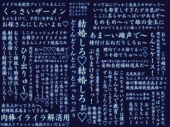 【淫語・嘘オホ・オス心情アテレコ】クールな幼馴染メイドと毎晩両思い中出しエッチ・バイノーラル 画像2