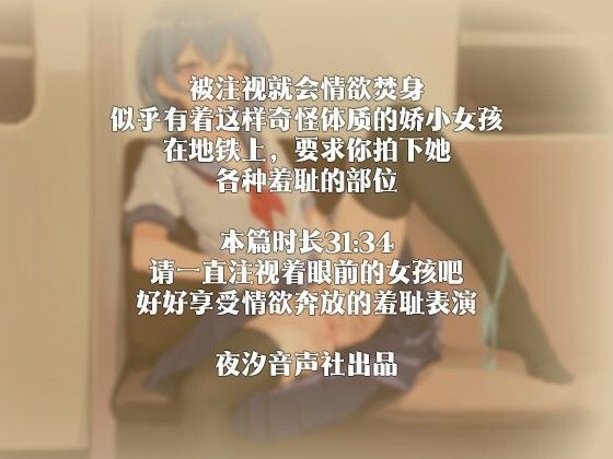 【中国語注意】深夜地下鉄の秘密の誘い 〜私の一番恥ずかしい姿、撮ってくれない？〜 画像3