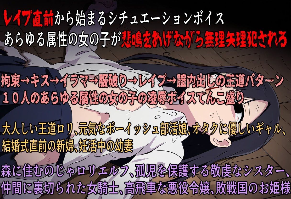 （出演声優10名収録時間1時間）マジで犯られる5秒前〜こういうのでいいんだよレ●プ〜 画像1