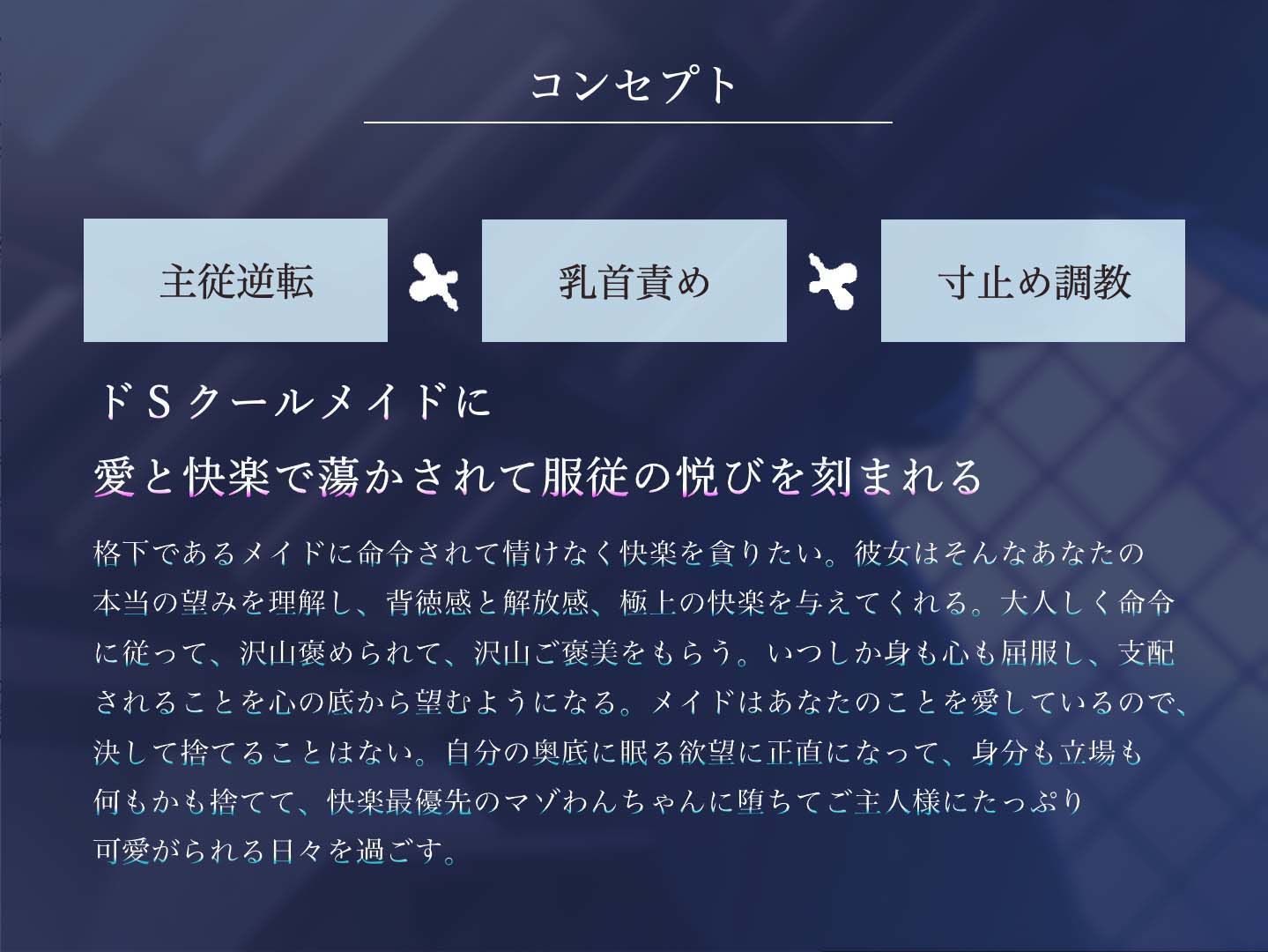 ご主人様を溺愛するドSクールメイドにマゾバレ＆快楽堕ちさせられる寸止めご褒美ペット化調教【軽い気持ちで主従逆転プレイを命じたら取り返しのつかない沼に堕ちる話】 画像2