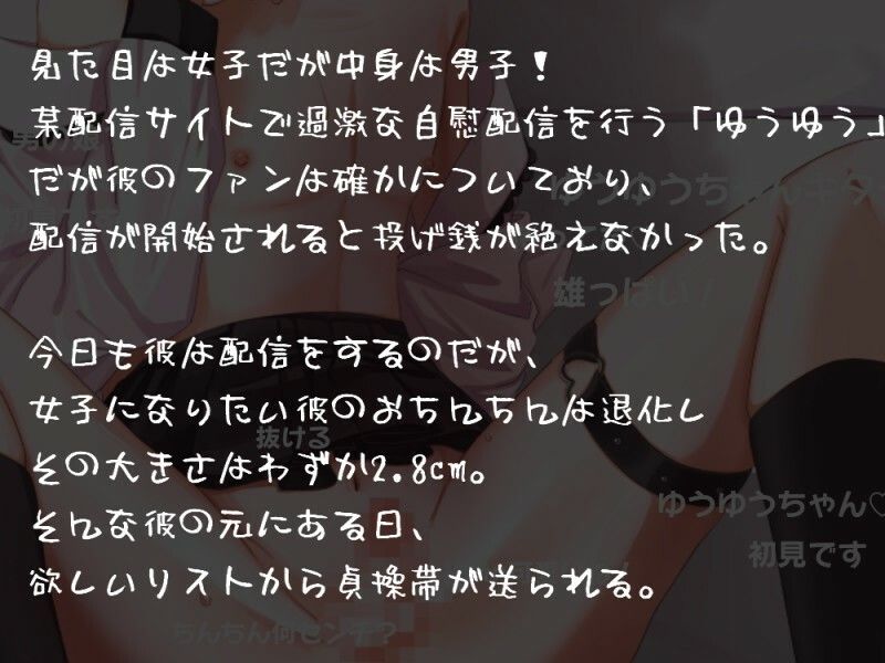ミニサイズちんちん男の娘による男の娘終了実況配信